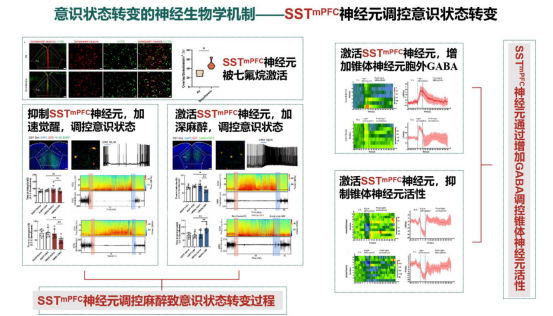 说明: E:\桌面\9C78CF0FEAD2FF93C8BB8C7C6F9_F5F0F38E_AB06A.png